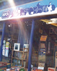 Image of Bookshop
